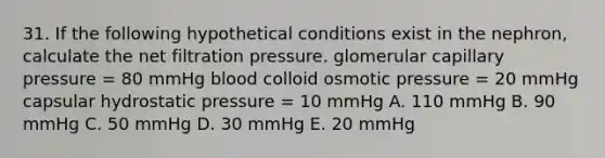 31. If the following hypothetical conditions exist in the nephron, calculate the net filtration pressure. glomerular capillary pressure = 80 mmHg blood colloid osmotic pressure = 20 mmHg capsular hydrostatic pressure = 10 mmHg A. 110 mmHg B. 90 mmHg C. 50 mmHg D. 30 mmHg E. 20 mmHg