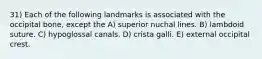 31) Each of the following landmarks is associated with the occipital bone, except the A) superior nuchal lines. B) lambdoid suture. C) hypoglossal canals. D) crista galli. E) external occipital crest.