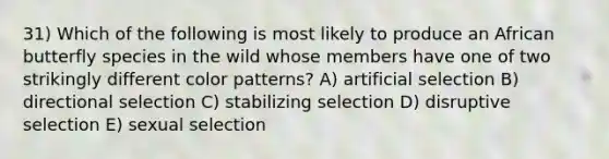 31) Which of the following is most likely to produce an African butterfly species in the wild whose members have one of two strikingly different color patterns? A) artificial selection B) directional selection C) stabilizing selection D) disruptive selection E) sexual selection