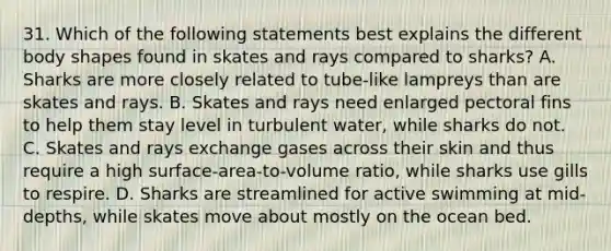 31. Which of the following statements best explains the different body shapes found in skates and rays compared to sharks? A. Sharks are more closely related to tube-like lampreys than are skates and rays. B. Skates and rays need enlarged pectoral fins to help them stay level in turbulent water, while sharks do not. C. Skates and rays exchange gases across their skin and thus require a high surface-area-to-volume ratio, while sharks use gills to respire. D. Sharks are streamlined for active swimming at mid-depths, while skates move about mostly on the ocean bed.