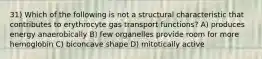 31) Which of the following is not a structural characteristic that contributes to erythrocyte gas transport functions? A) produces energy anaerobically B) few organelles provide room for more hemoglobin C) biconcave shape D) mitotically active