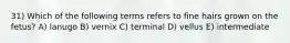 31) Which of the following terms refers to fine hairs grown on the fetus? A) lanugo B) vernix C) terminal D) vellus E) intermediate