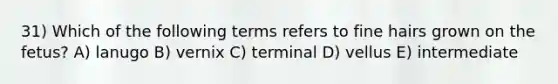 31) Which of the following terms refers to fine hairs grown on the fetus? A) lanugo B) vernix C) terminal D) vellus E) intermediate