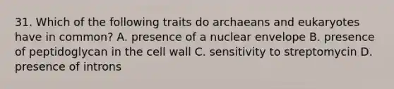 31. Which of the following traits do archaeans and eukaryotes have in common? A. presence of a nuclear envelope B. presence of peptidoglycan in the cell wall C. sensitivity to streptomycin D. presence of introns