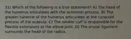 31) Which of the following is a true statement? A) The head of the humerus articulates with the acromion process. B) The greater tubercle of the humerus articulates at the coracoid process of the scapula. C) The rotator cuff is responsible for the flexible extensions at the elbow joint. D) The anular ligament surrounds the head of the radius.