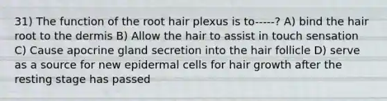 31) The function of the root hair plexus is to-----? A) bind the hair root to the dermis B) Allow the hair to assist in touch sensation C) Cause apocrine gland secretion into the hair follicle D) serve as a source for new epidermal cells for hair growth after the resting stage has passed