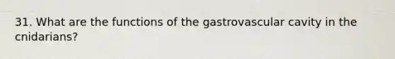 31. What are the functions of the gastrovascular cavity in the cnidarians?