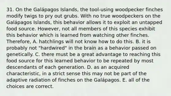 31. On the Galápagos Islands, the tool-using woodpecker finches modify twigs to pry out grubs. With no true woodpeckers on the Galápagos Islands, this behavior allows it to exploit an untapped food source. However, not all members of this species exhibit this behavior which is learned from watching other finches. Therefore, A. hatchlings will not know how to do this. B. it is probably not "hardwired" in <a href='https://www.questionai.com/knowledge/kLMtJeqKp6-the-brain' class='anchor-knowledge'>the brain</a> as a behavior passed on genetically. C. there must be a great advantage to reaching this food source for this learned behavior to be repeated by most descendants of each generation. D. as an acquired characteristic, in a strict sense this may not be part of the adaptive radiation of finches on the Galápagos. E. all of the choices are correct.