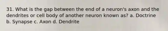 31. What is the gap between the end of a neuron's axon and the dendrites or cell body of another neuron known as? a. Doctrine b. Synapse c. Axon d. Dendrite