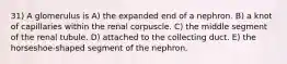 31) A glomerulus is A) the expanded end of a nephron. B) a knot of capillaries within the renal corpuscle. C) the middle segment of the renal tubule. D) attached to the collecting duct. E) the horseshoe-shaped segment of the nephron.