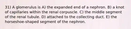 31) A glomerulus is A) the expanded end of a nephron. B) a knot of capillaries within the renal corpuscle. C) the middle segment of the renal tubule. D) attached to the collecting duct. E) the horseshoe-shaped segment of the nephron.