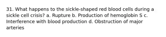 31. What happens to the sickle-shaped red blood cells during a sickle cell crisis? a. Rupture b. Production of hemoglobin S c. Interference with blood production d. Obstruction of major arteries