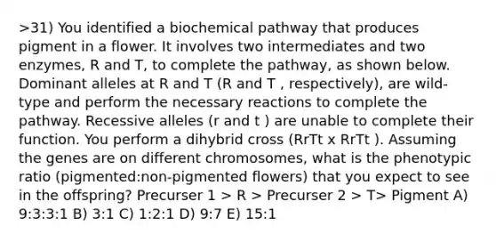 >31) You identified a biochemical pathway that produces pigment in a flower. It involves two intermediates and two enzymes, R and T, to complete the pathway, as shown below. Dominant alleles at R and T (R and T , respectively), are wild-type and perform the necessary reactions to complete the pathway. Recessive alleles (r and t ) are unable to complete their function. You perform a dihybrid cross (RrTt x RrTt ). Assuming the genes are on different chromosomes, what is the phenotypic ratio (pigmented:non-pigmented flowers) that you expect to see in the offspring? Precurser 1 > R > Precurser 2 > T> Pigment A) 9:3:3:1 B) 3:1 C) 1:2:1 D) 9:7 E) 15:1