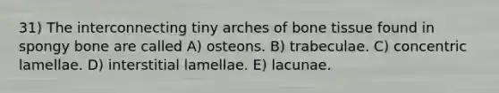 31) The interconnecting tiny arches of bone tissue found in spongy bone are called A) osteons. B) trabeculae. C) concentric lamellae. D) interstitial lamellae. E) lacunae.