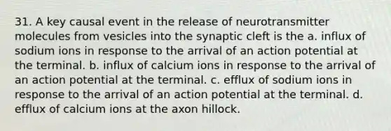 31. A key causal event in the release of neurotransmitter molecules from vesicles into the synaptic cleft is the a. influx of sodium ions in response to the arrival of an action potential at the terminal. b. influx of calcium ions in response to the arrival of an action potential at the terminal. c. efflux of sodium ions in response to the arrival of an action potential at the terminal. d. efflux of calcium ions at the axon hillock.