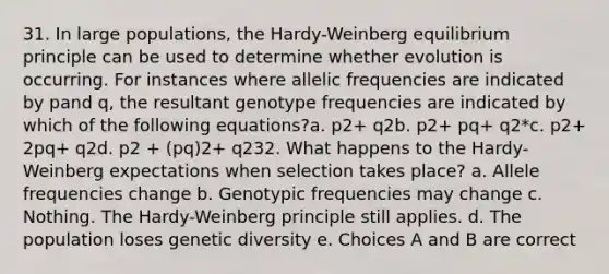 31. In large populations, the Hardy-Weinberg equilibrium principle can be used to determine whether evolution is occurring. For instances where allelic frequencies are indicated by pand q, the resultant genotype frequencies are indicated by which of the following equations?a. p2+ q2b. p2+ pq+ q2*c. p2+ 2pq+ q2d. p2 + (pq)2+ q232. What happens to the Hardy-Weinberg expectations when selection takes place? a. Allele frequencies change b. Genotypic frequencies may change c. Nothing. The <a href='https://www.questionai.com/knowledge/kynegOaesO-hardy-weinberg-principle' class='anchor-knowledge'>hardy-weinberg principle</a> still applies. d. The population loses <a href='https://www.questionai.com/knowledge/kNvV9mJ9mP-genetic-diversity' class='anchor-knowledge'>genetic diversity</a> e. Choices A and B are correct