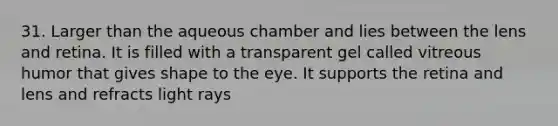 31. Larger than the aqueous chamber and lies between the lens and retina. It is filled with a transparent gel called vitreous humor that gives shape to the eye. It supports the retina and lens and refracts light rays