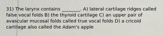 31) The larynx contains ________. A) lateral cartilage ridges called false vocal folds B) the thyroid cartilage C) an upper pair of avascular mucosal folds called true vocal folds D) a cricoid cartilage also called the Adam's apple