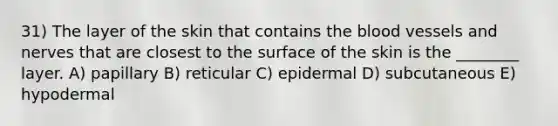 31) The layer of the skin that contains the blood vessels and nerves that are closest to the surface of the skin is the ________ layer. A) papillary B) reticular C) epidermal D) subcutaneous E) hypodermal