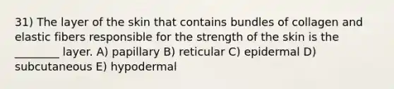 31) The layer of the skin that contains bundles of collagen and elastic fibers responsible for the strength of the skin is the ________ layer. A) papillary B) reticular C) epidermal D) subcutaneous E) hypodermal