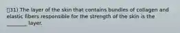 31) The layer of the skin that contains bundles of collagen and elastic fibers responsible for the strength of the skin is the ________ layer.