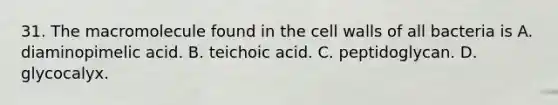 31. The macromolecule found in the cell walls of all bacteria is A. diaminopimelic acid. B. teichoic acid. C. peptidoglycan. D. glycocalyx.