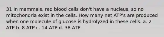 31 In mammals, red blood cells don't have a nucleus, so no mitochondria exist in the cells. How many net ATP's are produced when one molecule of glucose is hydrolyzed in these cells. a. 2 ATP b. 8 ATP c. 14 ATP d. 38 ATP