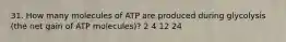 31. How many molecules of ATP are produced during glycolysis (the net gain of ATP molecules)? 2 4 12 24