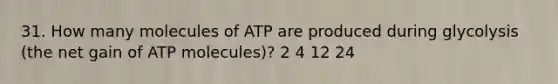 31. How many molecules of ATP are produced during glycolysis (the net gain of ATP molecules)? 2 4 12 24