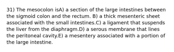 31) The mesocolon isA) a section of the large intestines between the sigmoid colon and the rectum. B) a thick mesenteric sheet associated with the small intestines.C) a ligament that suspends the liver from the diaphragm.D) a serous membrane that lines the peritoneal cavity.E) a mesentery associated with a portion of the large intestine.