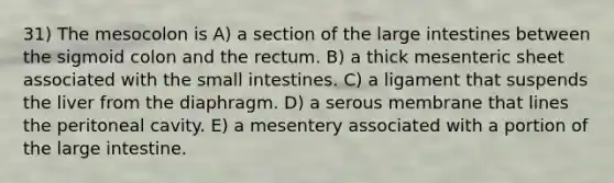 31) The mesocolon is A) a section of the large intestines between the sigmoid colon and the rectum. B) a thick mesenteric sheet associated with the small intestines. C) a ligament that suspends the liver from the diaphragm. D) a serous membrane that lines the peritoneal cavity. E) a mesentery associated with a portion of the large intestine.