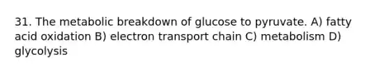 31. The metabolic breakdown of glucose to pyruvate. A) fatty acid oxidation B) electron transport chain C) metabolism D) glycolysis