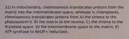 31) In mitochondria, chemiosmosis translocates protons from the matrix into the intermembrane space, whereas in chloroplasts, chemiosmosis translocates protons from A) the stroma to the photosystem II. B) the matrix to the stroma. C) the stroma to the thylakoid space. D) the intermembrane space to the matrix. E) ATP synthase to NADP+ reductase.