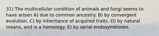 31) The multicellular condition of animals and fungi seems to have arisen A) due to common ancestry. B) by convergent evolution. C) by inheritance of acquired traits. D) by natural means, and is a homology. E) by serial endosymbioses.