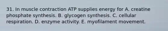 31. In <a href='https://www.questionai.com/knowledge/k0LBwLeEer-muscle-contraction' class='anchor-knowledge'>muscle contraction</a> ATP supplies energy for A. creatine phosphate synthesis. B. glycogen synthesis. C. <a href='https://www.questionai.com/knowledge/k1IqNYBAJw-cellular-respiration' class='anchor-knowledge'>cellular respiration</a>. D. enzyme activity. E. myofilament movement.