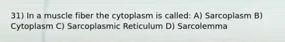 31) In a muscle fiber the cytoplasm is called: A) Sarcoplasm B) Cytoplasm C) Sarcoplasmic Reticulum D) Sarcolemma