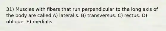 31) Muscles with fibers that run perpendicular to the long axis of the body are called A) lateralis. B) transversus. C) rectus. D) oblique. E) medialis.