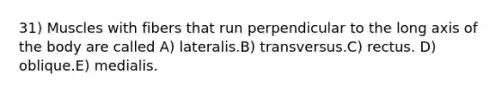 31) Muscles with fibers that run perpendicular to the long axis of the body are called A) lateralis.B) transversus.C) rectus. D) oblique.E) medialis.