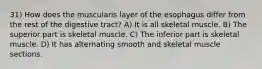 31) How does the muscularis layer of the esophagus differ from the rest of the digestive tract? A) It is all skeletal muscle. B) The superior part is skeletal muscle. C) The inferior part is skeletal muscle. D) It has alternating smooth and skeletal muscle sections.