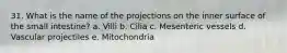 31. What is the name of the projections on the inner surface of the small intestine? a. Villi b. Cilia c. Mesenteric vessels d. Vascular projectiles e. Mitochondria