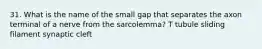 31. What is the name of the small gap that separates the axon terminal of a nerve from the sarcolemma? T tubule sliding filament synaptic cleft