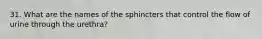 31. What are the names of the sphincters that control the flow of urine through the urethra?