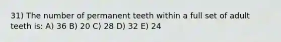 31) The number of permanent teeth within a full set of adult teeth is: A) 36 B) 20 C) 28 D) 32 E) 24