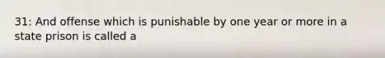 31: And offense which is punishable by one year or more in a state prison is called a