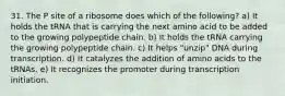 31. The P site of a ribosome does which of the following? a) It holds the tRNA that is carrying the next amino acid to be added to the growing polypeptide chain. b) It holds the tRNA carrying the growing polypeptide chain. c) It helps "unzip" DNA during transcription. d) It catalyzes the addition of amino acids to the tRNAs. e) It recognizes the promoter during transcription initiation.