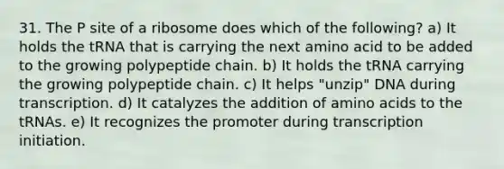 31. The P site of a ribosome does which of the following? a) It holds the tRNA that is carrying the next amino acid to be added to the growing polypeptide chain. b) It holds the tRNA carrying the growing polypeptide chain. c) It helps "unzip" DNA during transcription. d) It catalyzes the addition of <a href='https://www.questionai.com/knowledge/k9gb720LCl-amino-acids' class='anchor-knowledge'>amino acids</a> to the tRNAs. e) It recognizes the promoter during transcription initiation.