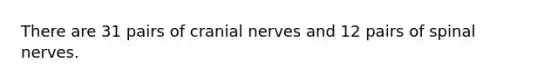 There are 31 pairs of cranial nerves and 12 pairs of spinal nerves.