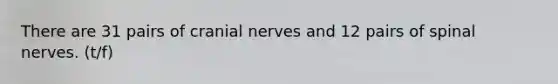 There are 31 pairs of cranial nerves and 12 pairs of spinal nerves. (t/f)