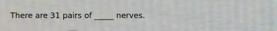 There are 31 pairs of _____ nerves.