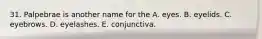 31. Palpebrae is another name for the A. eyes. B. eyelids. C. eyebrows. D. eyelashes. E. conjunctiva.